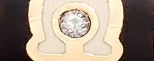 經典 SIGNATURE 圓圈耳環