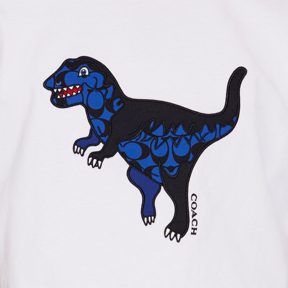 PATCHWORK REXY T-SHIRT IN ORGANIC COTTON