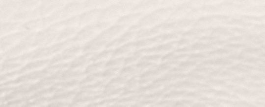 CHARTER 18 徽章裝飾後背包