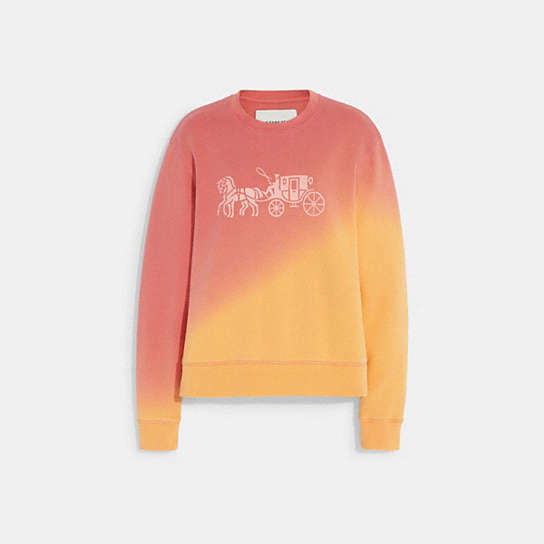 CA709 - Ombre Horse And Carriage Crewneck In Organic Cotton Multi