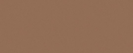 NAVIGATOR C 字飾件 太陽眼鏡