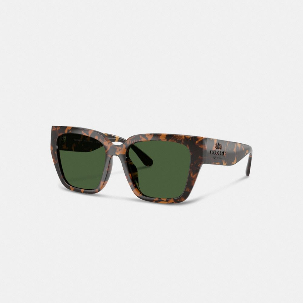 COACH CAE82 Oversized Cat Eye Sunglasses Dark Tortoise