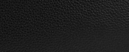 HADLEY 旋鎖托特手袋