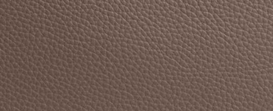 HADLEY 旋鎖托特手袋