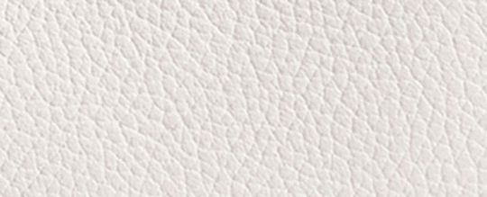 HADLEY迷你斜背手袋