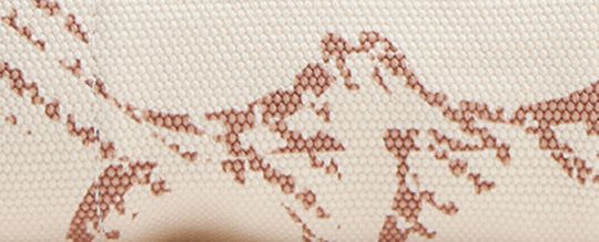 CARGO 26 經典 SIGNATURE 帆布托特手袋