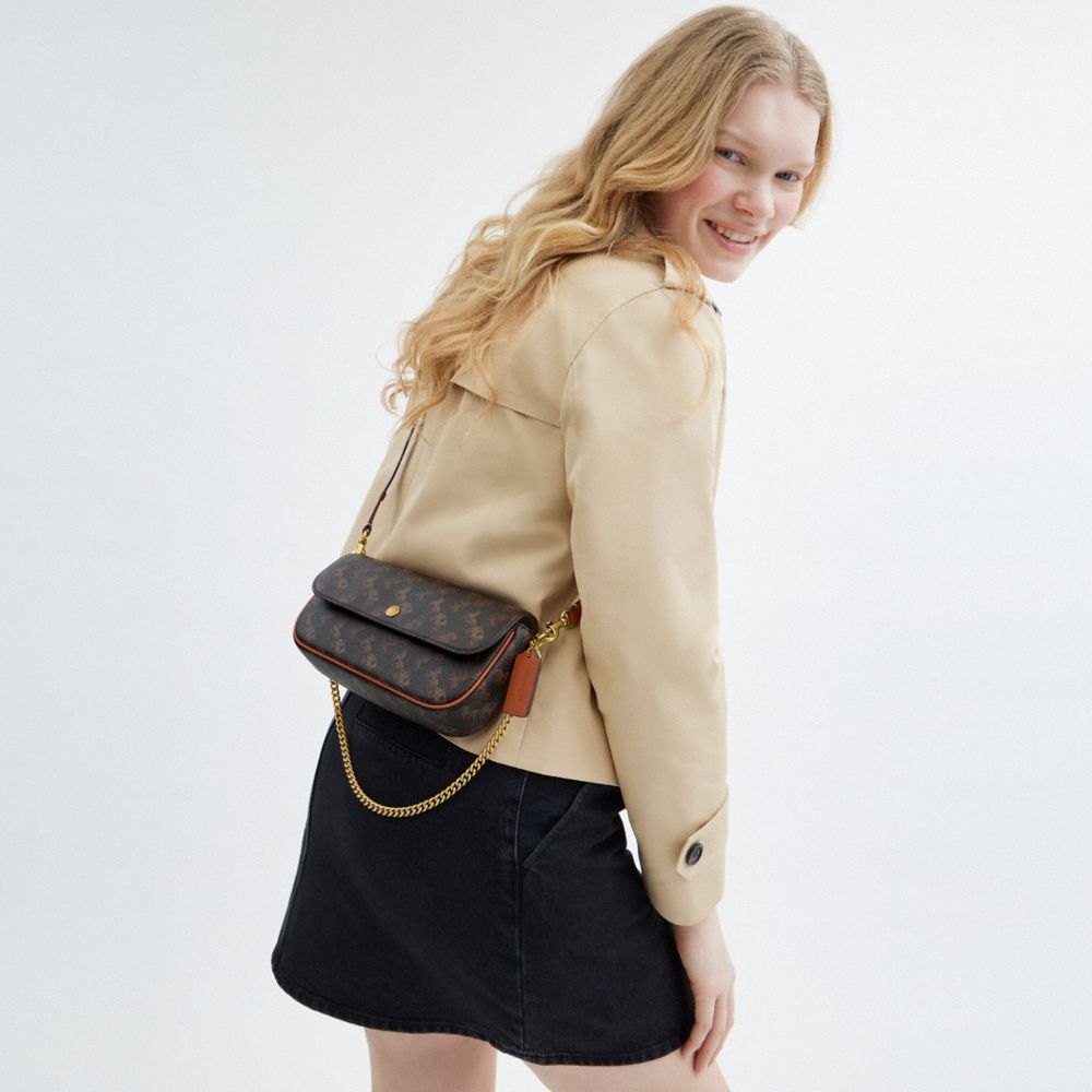 BROOK FLAP CHAIN BAG WITH HORSE AND CARRIAGE PRINT