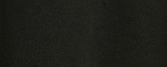 經典 SIGNATURE 骷髏 REXY 恐龍上衣