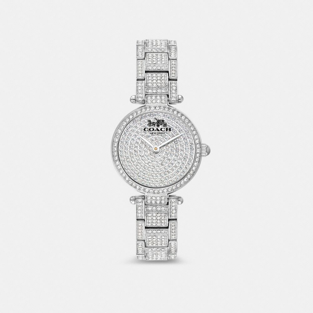 CB006 - Park Watch, 25 Mm Silver/Clear