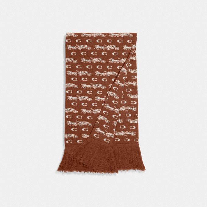 COACH Official Site Official page | BOLD HORSE AND CARRIAGE PRINT 