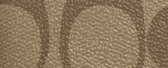 CORNER ZIP WRISTLET IN SIGNATURE CANVAS WITH VARSITY MOTIF