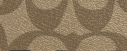 LONG ZIP AROUND WALLET IN SIGNATURE CANVAS WITH VARSITY MOTIF