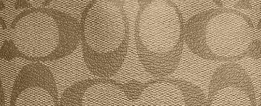 CITY TOTE IN SIGNATURE CANVAS WITH VARSITY MOTIF