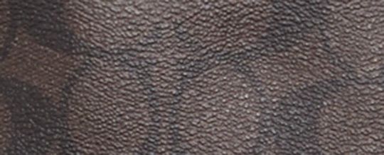 CITY TOTE IN SIGNATURE CANVAS WITH VARSITY MOTIF-IM/Brown/Chalk Multi