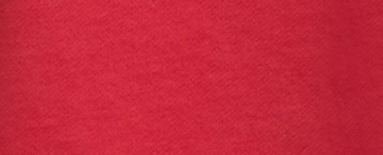 馬車圖案連帽衫