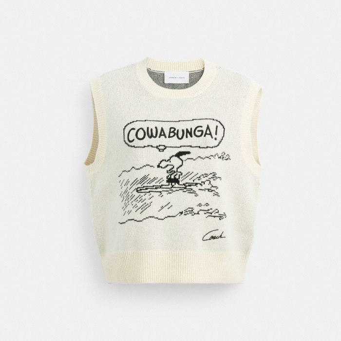 PEANUTS COMIC KNIT VEST