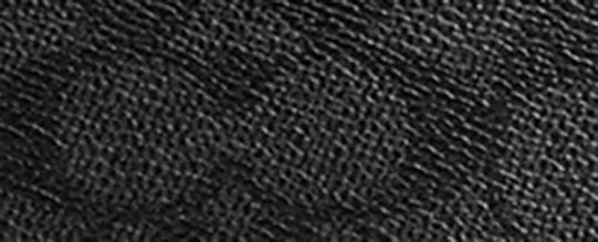 WESLEY 經典 SIGNATURE 帆布徽章裝飾托特手袋
