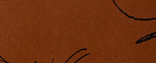 COACH X PEANUTS ROGUE 報紙印花單肩手袋