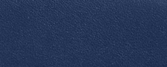 LEAGUE 經典 SIGNATURE 帆布拼接斜背手袋
