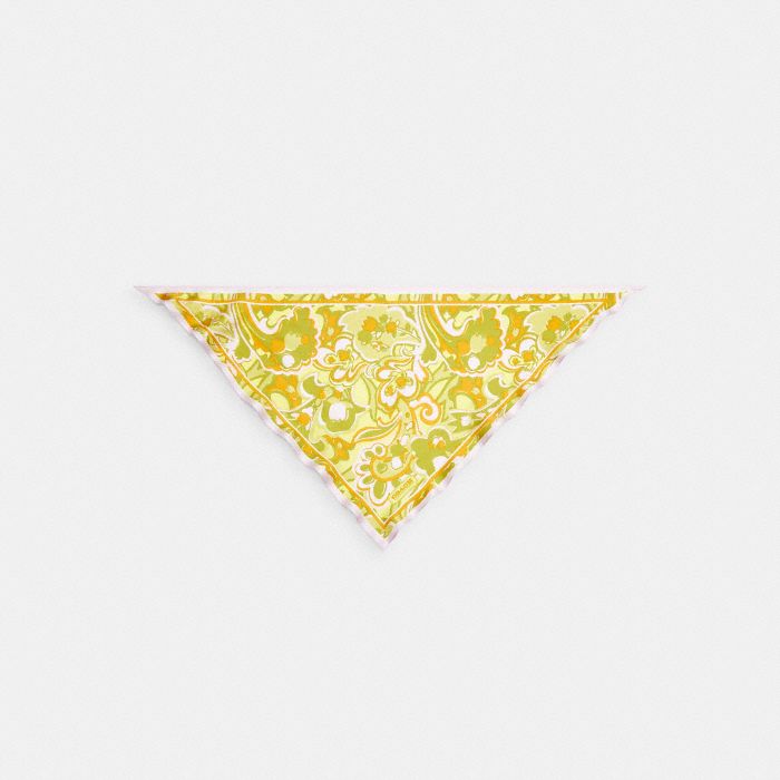 ANDREA PAISLEY PRINTED SILK TRIANGLE