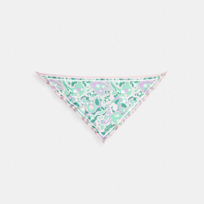 ANDREA PAISLEY PRINTED SILK TRIANGLE