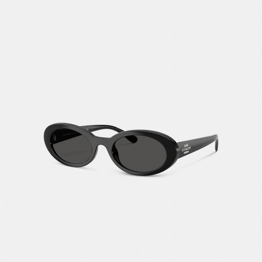 Narrow Oval Sunglasses - CBZ87 - Black