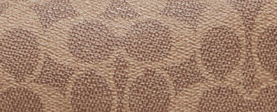 CARY CROSSBODY IN SIGNATURE CANVAS