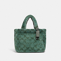 Tote 22 In Signature Shearling - CC441 - Pewter/Green