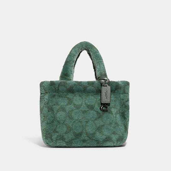 CC441 - Tote 22 In Signature Shearling Pewter/Green