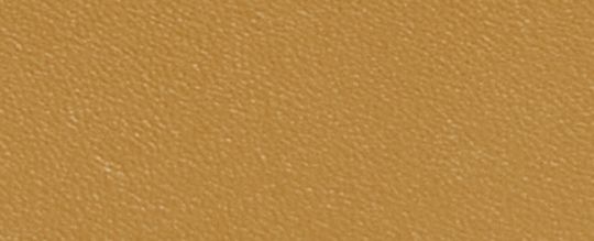 COACHIES KIRA 眨眼仔 (WINKIE) 斜背手袋