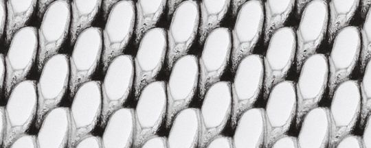 HARRISON 手錶，42毫米