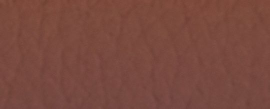 DEMPSEY TOTE 22 IN SIGNATURE CANVAS WITH HEDGEHOG PRINT