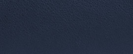 EMPIRE CARRYALL 34 手袋