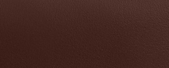 COACH&reg;,Waverly Bag,Leather,Shoulder Bag,Chain Detail,Adjustable,Lined,Compact,Gold Metal,Day Party,Brown