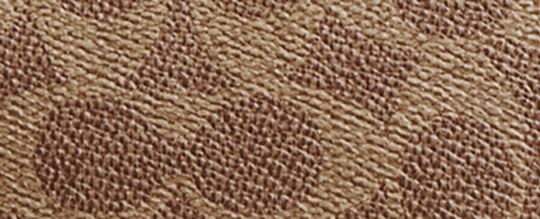 PLAZA BAG IN SIGNATURE CANVAS