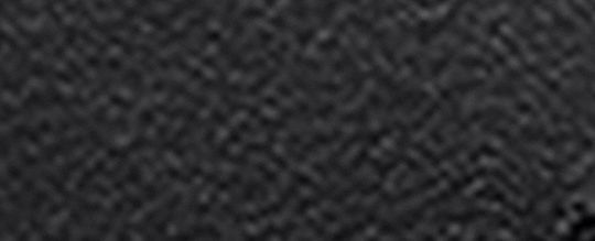 大號 REXY 骨架手袋掛件