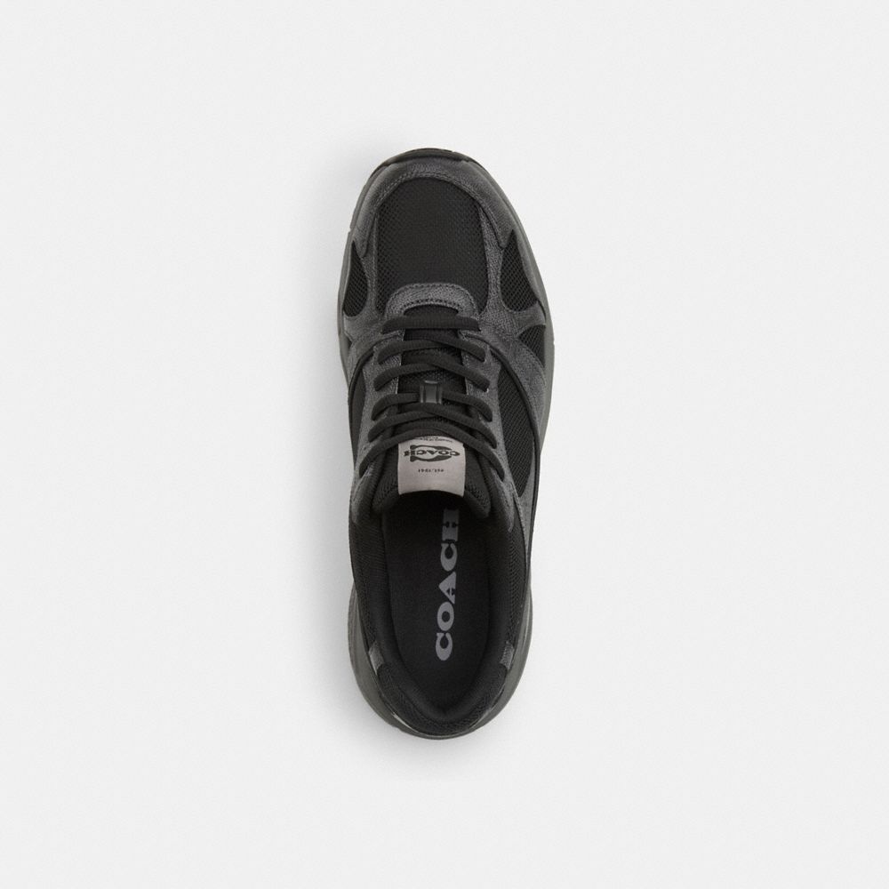 SPORT SNEAKER IN SIGNATURE CANVAS