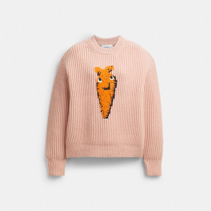CARROT GRAPHIC CHUNKY CREWNECK SWEATER