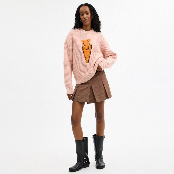 CARROT GRAPHIC CHUNKY CREWNECK SWEATER