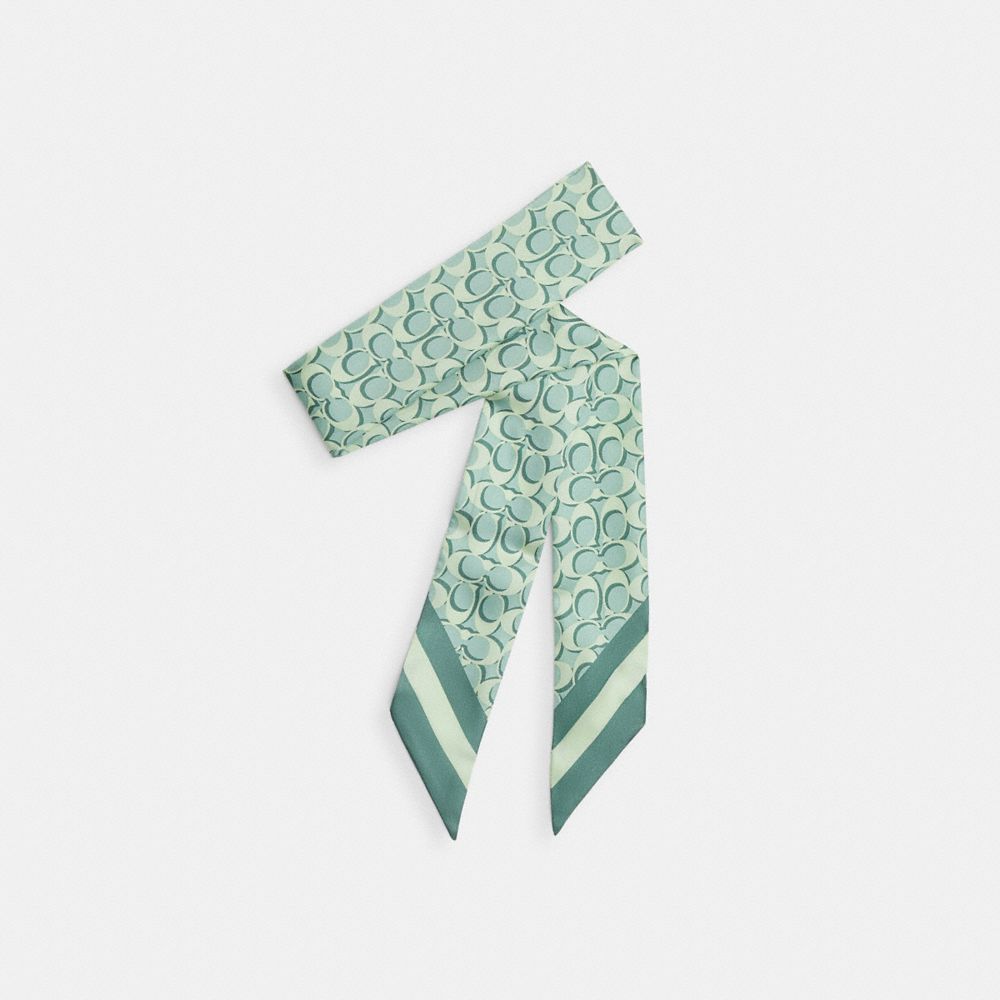 COACH CCN71 Signature Silk Skinny Scarf MINT