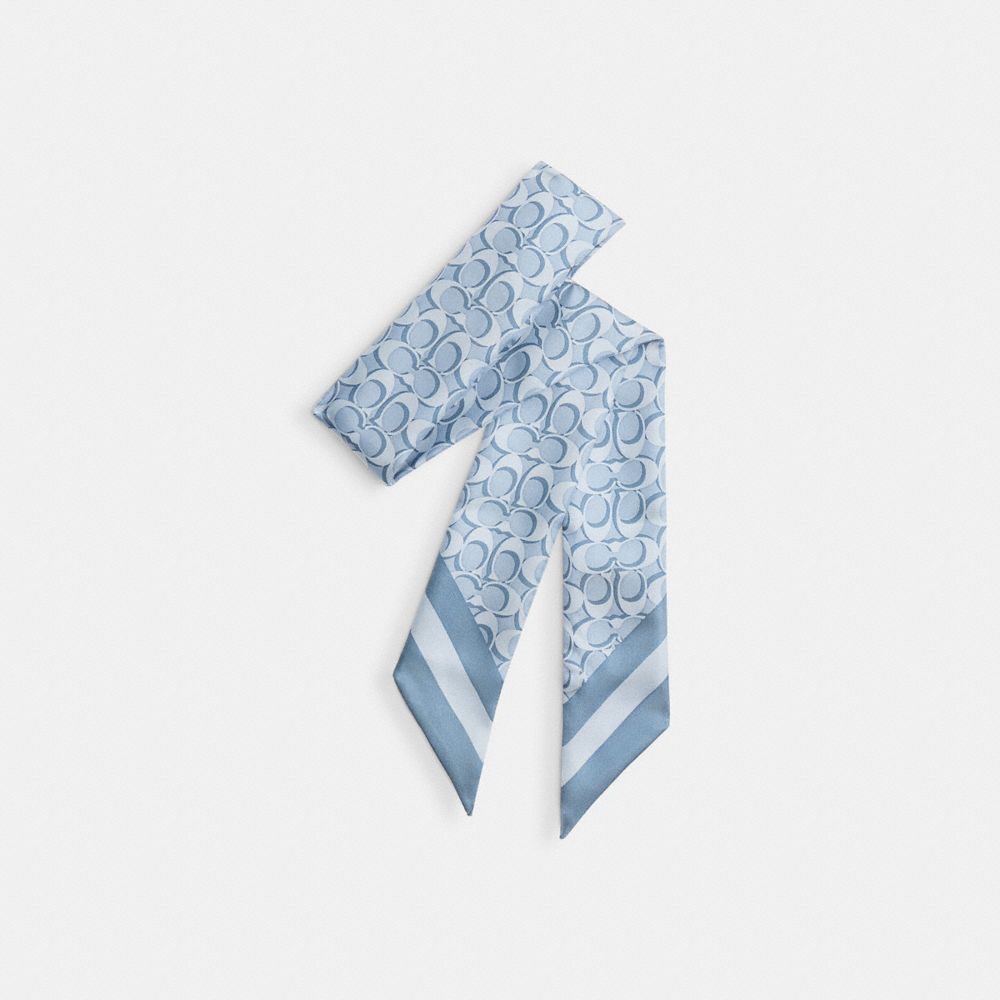 COACH CCN71 Signature Silk Skinny Scarf NIAGARA MIST