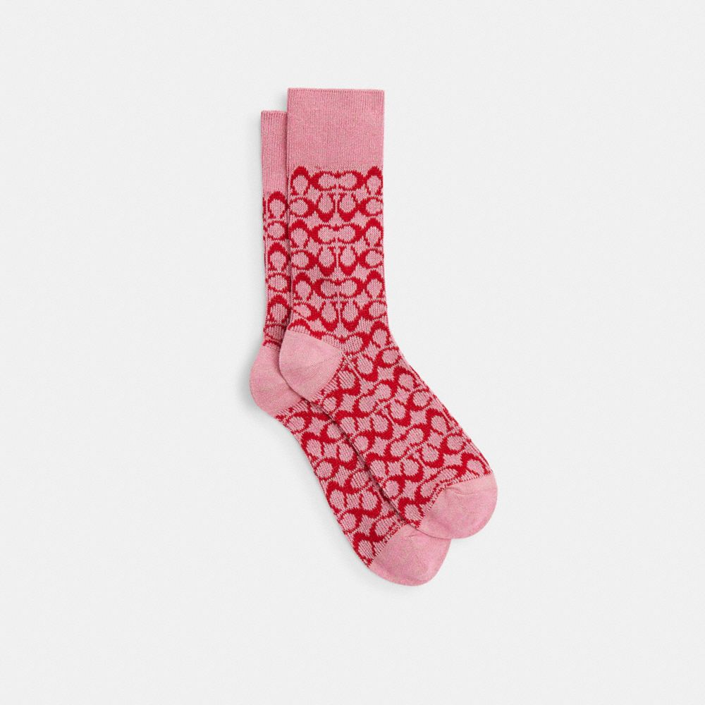 메인컬러: 핑크