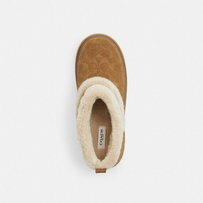 CHRISTINA 經典 SIGNATURE 麂皮短靴