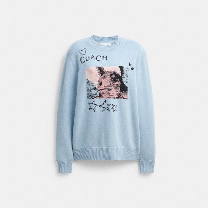 BUNNY GRAPHIC INTARSIA CREWNECK SWEATER