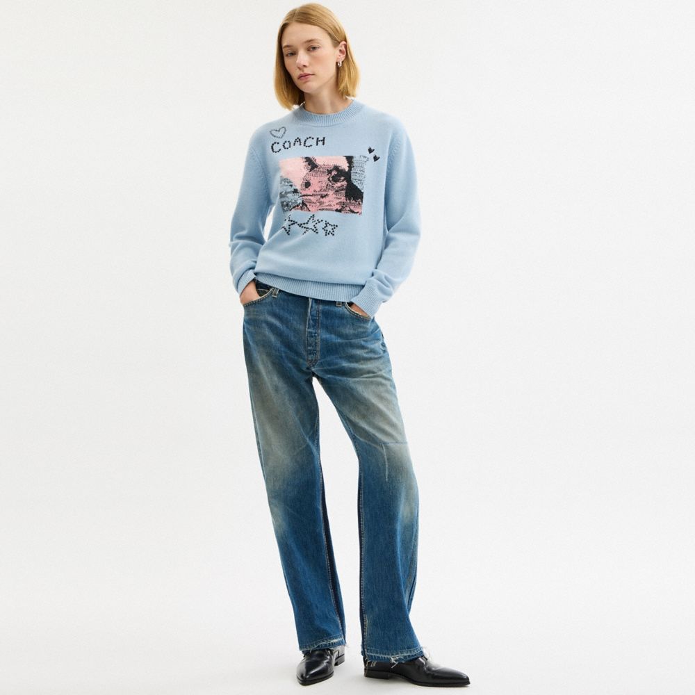 BUNNY GRAPHIC INTARSIA CREWNECK SWEATER