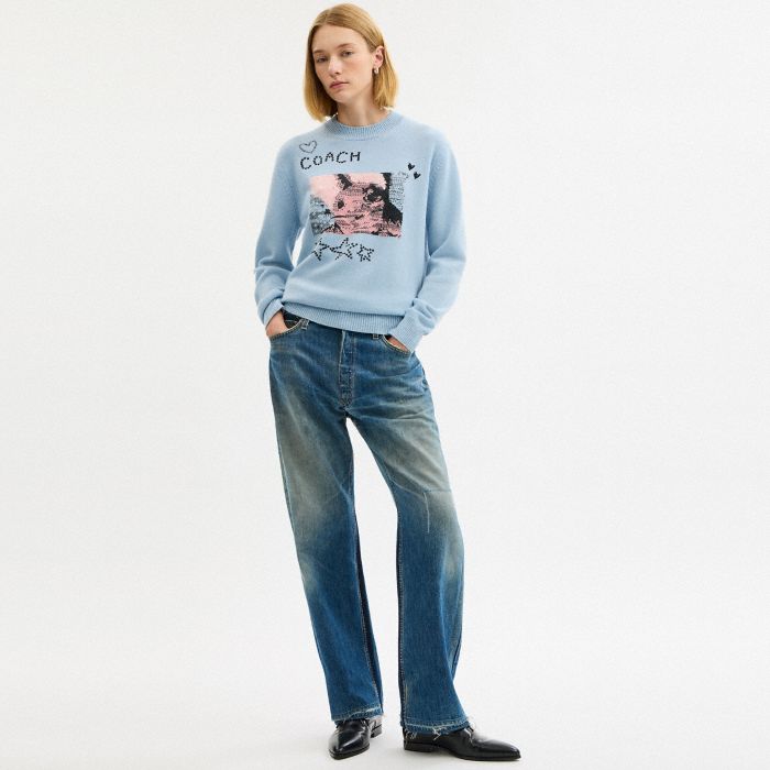 BUNNY GRAPHIC INTARSIA CREWNECK SWEATER