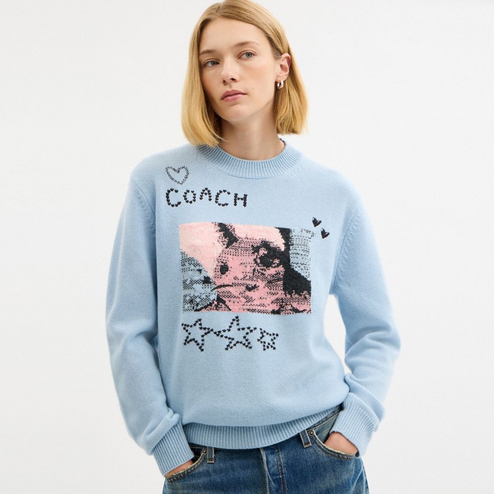 トップス KEY CAT RABBIT COS CREWNECK vaultroom BUNNY GRAPHIC INTARSIA CREWNECK SWEATER