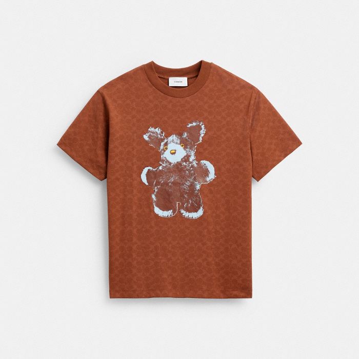 HARE GRAPHIC SIGNATURE RELAXED T-SHIRT