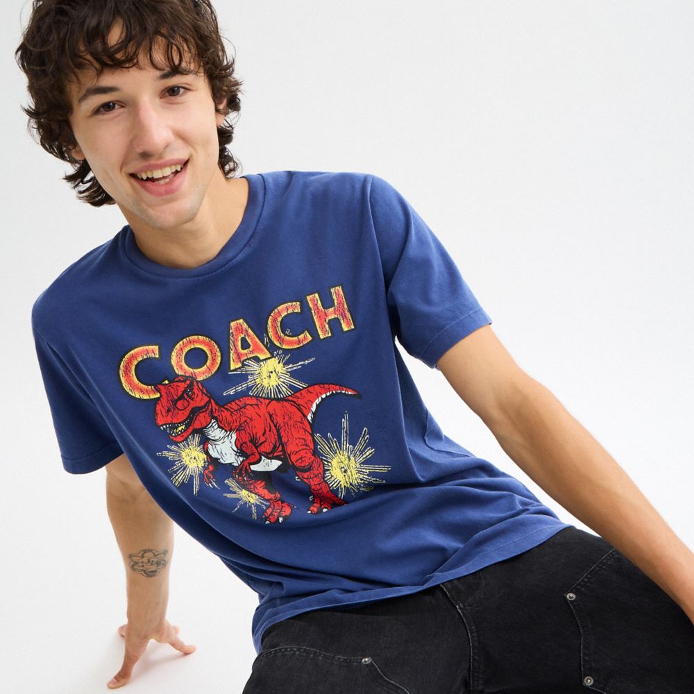 GARMENT WASHED DINOSAUR T-SHIRT IN ORGANIC COTTON