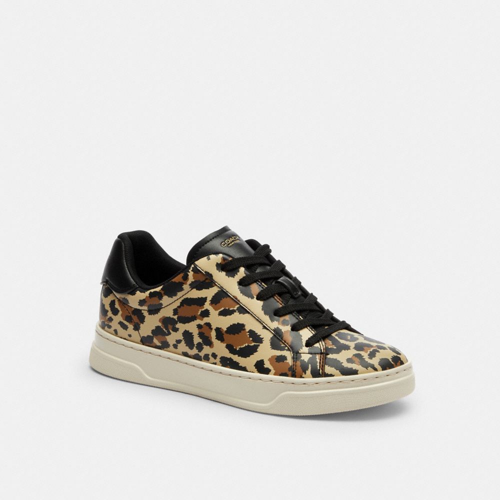 High Line Sneaker With Leopard Print - CCV98 - Black/Leopard